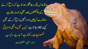 Sanday Ka Oil Aur Es Kay Faiday Raaztv Invigorate Oils Life