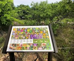 The park is more in reference to the ballpark where they play baseball and softball and they have a playground. Kirby Lake Nature Park Improvements Continue At A Dinosaur S Pace