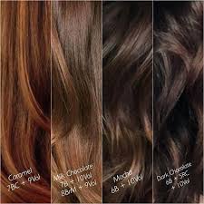 Detailed Sally Beauty Supply Ion Hair Color Chart Clairol