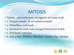 Tujuan mitosis adalah untuk pertumbuhan dan regenerasi yang menghasilkan dua sel anak yang identik dengan sel induk semula. Pembelahan Sel Oleh Desi Mariani Ppt Download