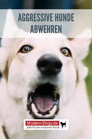 Die Arten Der Hundeabwehr Zur Verteidigung In 2020 Hunde Aggressive Hunde Hund Bellt