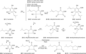 The addition of 0.1% ascorbic acid exerts a marked protective action on the bacteriostatic activity of lupulon steamed or autoclaved at a concentration of. Humulone An Overview Sciencedirect Topics