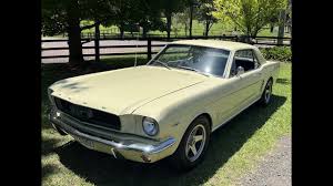 Image result for Springtime Yellow 1966 Mustang