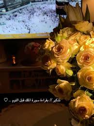 بنات بتكلم معكم في موضوع انوه من اول وما سكنا البيت وحنا بس مشكال في البيت ومصايب وكل شوي ينكسر فيه حاجه في البيت أقولك وش السبب السبب ان plants rose