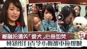 喵帕斯 にゃんぱすー 悠哉山歌大王 喵波斯 完整版 一小时超长版 简介 评论里有其. L5aypz5auo5a M