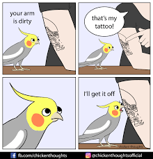 Which is the best way to remove a tattoo? Free Tattoo Removal Chicken Thoughts