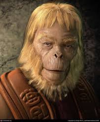 Hachiko's Pony Conference Dynasty