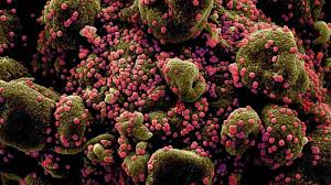Covid cases among children have surged. Uk S New Covid Variant How Does The Virus Act