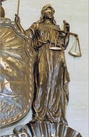 Image result for Justicia nuttii