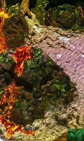 Bug king covers most of the auckland area from albany down to papakura. Good Getaways Issuu