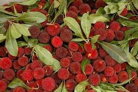Tree with strawberry like fruit. Pin On Staple Vegan Fruit