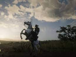 We did not find results for: Red Dead Redemption 2 Best Horse Guide The White Arabian Polygon