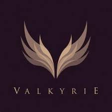 Inspirational designs, illustrations, and graphic elements from the world's best designers. Valkyrie Logos