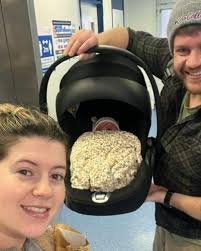 Rabbits, wasps and a return to Crete!