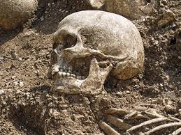 A Viking Mystery