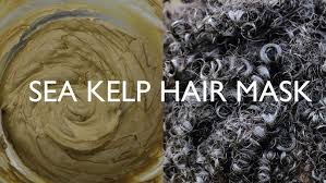 How kelp can help with hair growth. Sea Kelp For Extreme Hair Growth Youtube