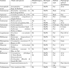 Image result for Vernonia congolensis