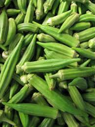 Maybe you would like to learn more about one of these? How To Grow Okra In Containers Pots Indoors Homestead Gardener