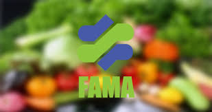 Jom kita tengok mana yang lebih murah! Senarai Harga Sayur 2021 Terkini My Panduan
