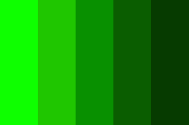 Image Load Failed!