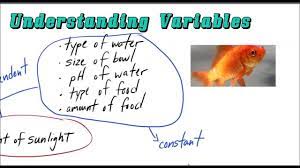 A Clear Easy Way To Remember The Difference Between Independent And Dependent Variable Dependent And Independent Variables Elementary Science Values Education