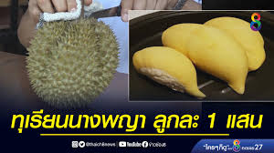 เริ่มตัดแต่งกิ่งหลังจากปลูกแล้วประมาณ 1 ถึง 1.5 ปี เพื่อให้ต้นทุเรียนมีโครงสร้างและทรงพุ่มที่ดี และการตัดแต่งกิ่งจะต้อง. à¸— à¹€à¸£ à¸¢à¸™à¸™à¸²à¸‡à¸žà¸à¸² à¸¥ à¸à¸¥à¸° 1 à¹à¸ªà¸™à¸šà¸²à¸— à¸‚ à¸²à¸§à¸Š à¸­à¸‡ 8