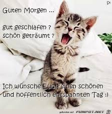 Maybe you would like to learn more about one of these? Pin On Lustige Bilder
