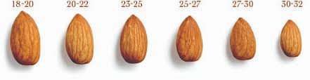 Almond Sizes And Grades J C S Quality Foods