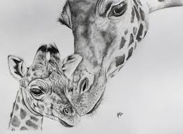 Gallery For Giraffe Face Drawing Giraffe Drawing Face Drawing Giraffe