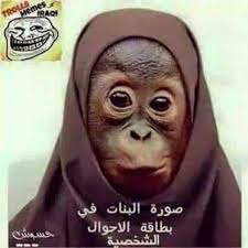 desertrose ههههه movie quotes funny jokes quotes funny quotes