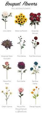 Scopri il 6 nomi di fiori comuni da ricordare. Nomi Di Fiori