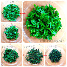 電子レンジでお茶っ葉作り なだちい Snapdish スナップディッシュ Id 4v8gda