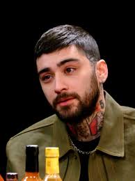 Zayn Malik Mcdonalds