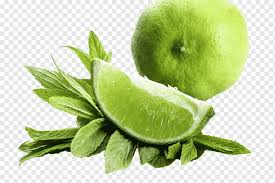 Lemon Key Lime Seed Garden Lemon Food Advertising Material Natural Foods Leaf Vegetable Food Png Pngwing