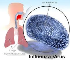Image result for Influenza