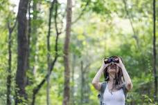 Seney National Wildlife Refuge - Discover the Joys of Birding