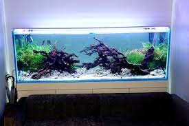 180 センチ 水槽