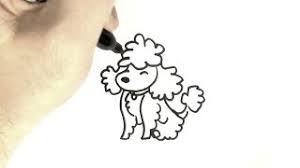 How to Draw a Poodle