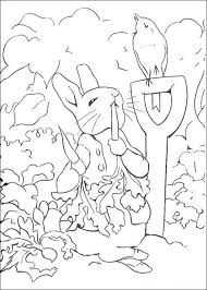 8 Peter Rabbit Kids Activities Diy Thought Peter Rabbit And Friends Rabbit Colors Colouring Pages