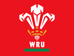 Sportyviews Com Welsh Rugby Wales Rugby Rugby Union