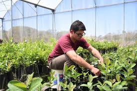 cultivos agroecologicos