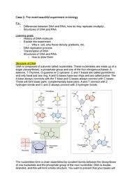 Dna is made up of two nucleic acid strands joined by hydrogen bonding. Case 2 Case 2 Bbs1001 Studeersnel