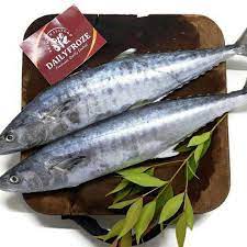 Ikan tenggiri ini biasanya dimasak dengan cara digoreng. Ikan Tenggiri 3 Dimensi 100 Gambar Ikan Hias Mas Hiu Koi Paus Lele Dll Seperti Yang Kita Ketahui Bahwa Pemanfaatan Ikan Ini Seringkali Dikonsumsi Untuk Pembuatan Makanan Seperti Siomay Pempek