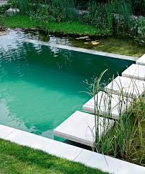 A Swimming Hole In Your Backyard Dujour Natural Swimming Pools Natural Swimming Ponds Backyard Pool