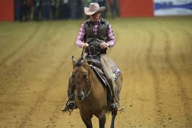 Images Showjumpers Go Reining World Of Showjumping It has a.com as an domain extension. world of showjumping
