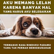 Sedangkan orang tak sudi lagi. 215 Kata Kata Bikin Baper Dan Melelehkan Hati Wanita Diedit Com