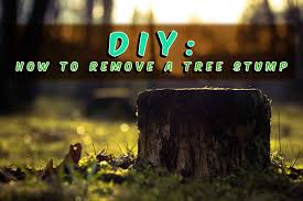 I would cut a shallow notch to hold the chain and pull from the drawbar. How To Remove A Tree Stump A Diy Guide For Homeowners Blog
