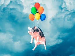 images?q=tbn:ANd9GcQe9-HHsyefKcr1xW6o-rV