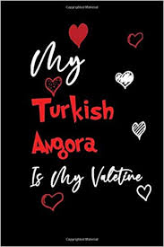 This year, use these quotes for your happy valentine's day cards to let your loved ones know how you feel. My Turkish Angora Is My Valentine Funny Quotes Animal Lovers Gift Happy Valentine S Day Journal Valentines Day Girlfriend Or Boyfriend Notebook 6x9 Student Women Men Birthday Gifts Cats Lovers Solart Valentine S