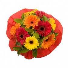 Expressive Gerberas Flower Bouquet In Raipur 950 Flower Delivery Online Flower Delivery Flower Bouquet Delivery